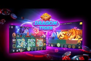 Boost Your Dragon Tiger Live Gameplay with Bonuses in India