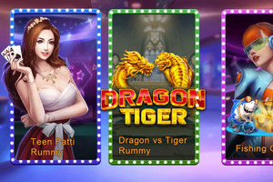Dragon Tiger Live Side Bets and Payouts